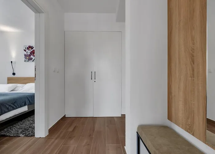 Barisimo - Exklusiv * マカルスカ